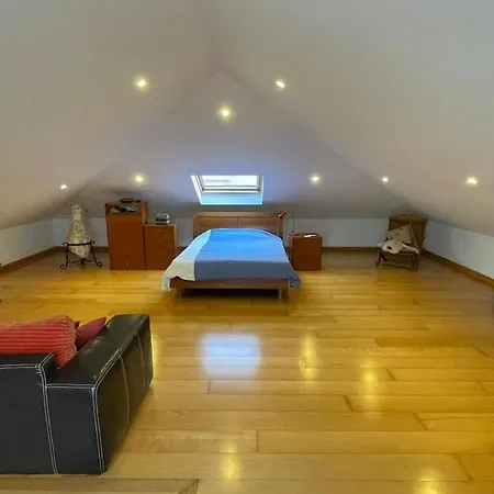 Cocohomes El Sauzalito