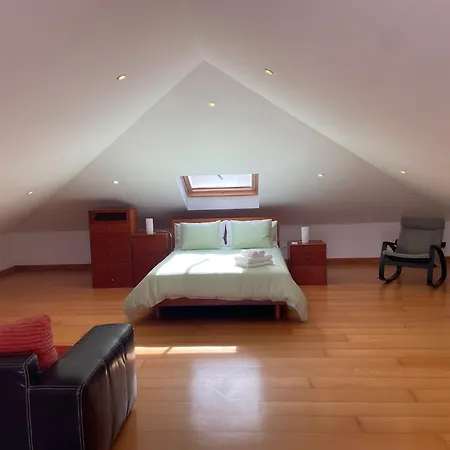 Cocohomes El Sauzalito
